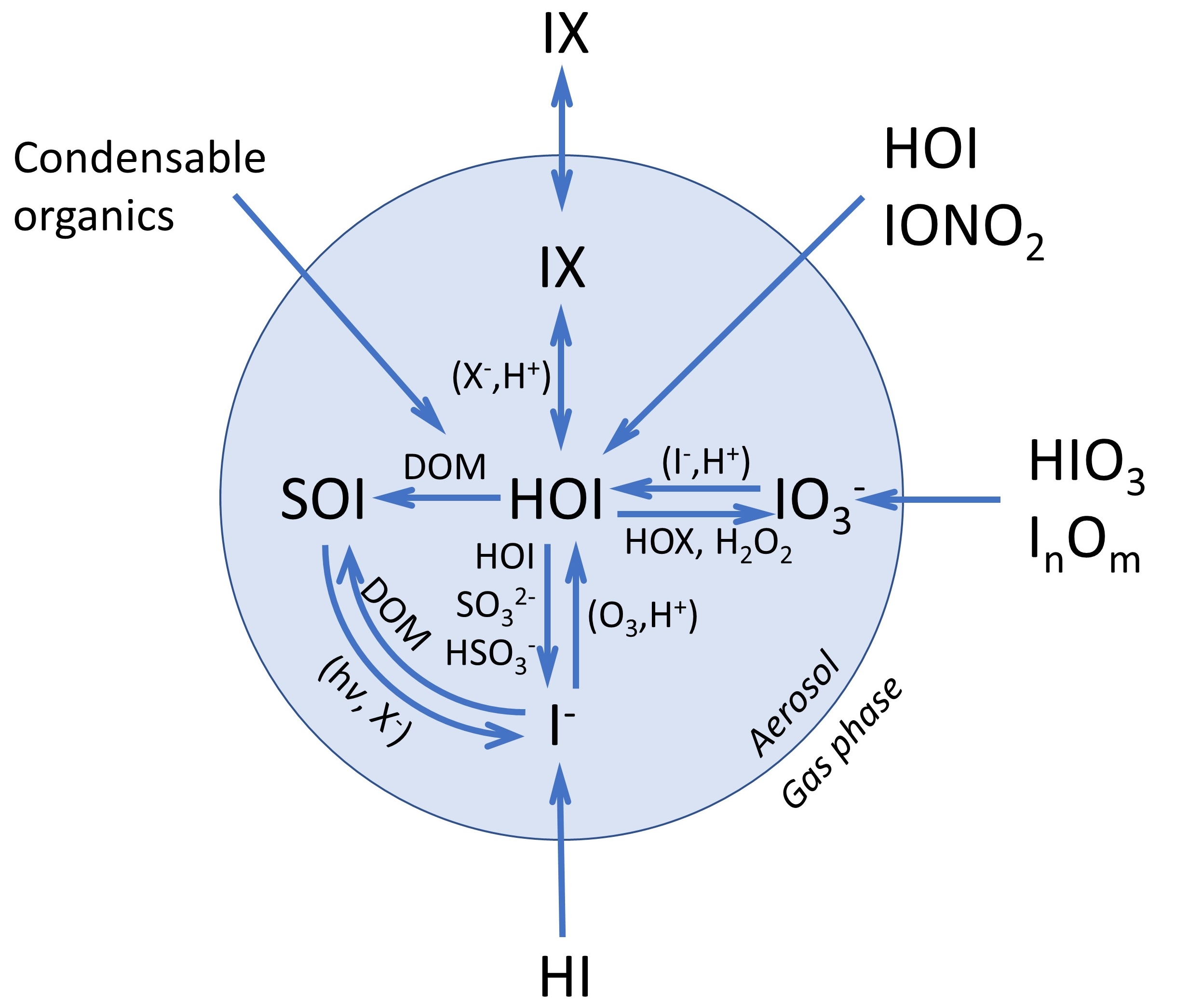 Chemical scheme of soluble iodine in aerosol